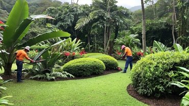 Negocio de Jardinería y Paisajismo