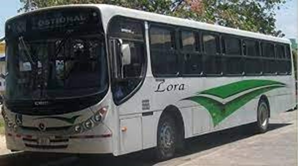 Bus Services from Santa Cruz to Ostional