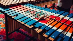 Sat 14th Oct | High School Fund Raiser Activity