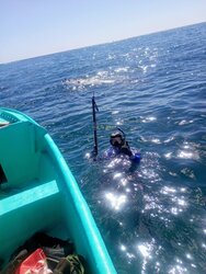 Snorkeling Boat Tour