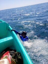 Snorkeling Boat Tour