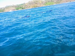 Tour Artesanal de Snorkel en San Juanillo