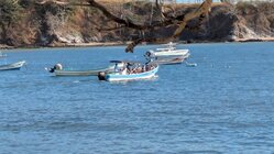 Snorkeling Boat Tour for up to 9 Guests