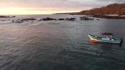 Snorkeling Boat Tour for up to 9 Guests