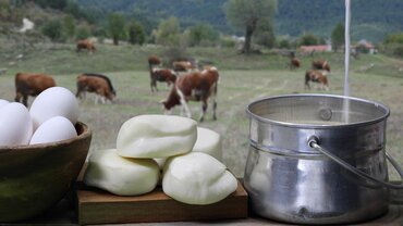 Cheese & Dairy Producer